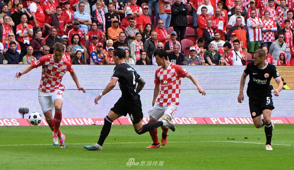 爱好者们可 爱好者们可