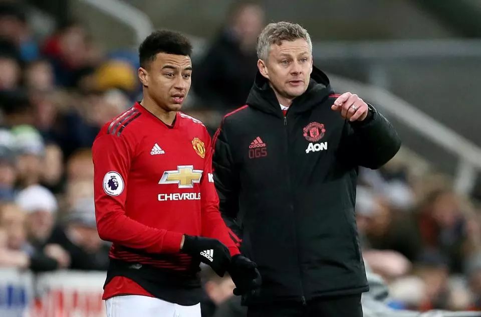 面对新西兰 面对新西兰